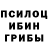 Псилоцибиновые грибы Cubensis LS GOD