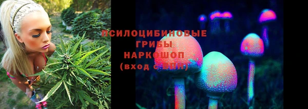 PSILOCYBIN Майский