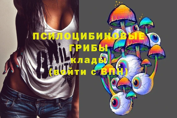 PSILOCYBIN Майский