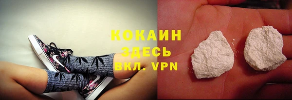 PSILOCYBIN Майский