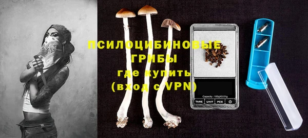 ПСИЛОЦИБИНОВЫЕ ГРИБЫ Магадан