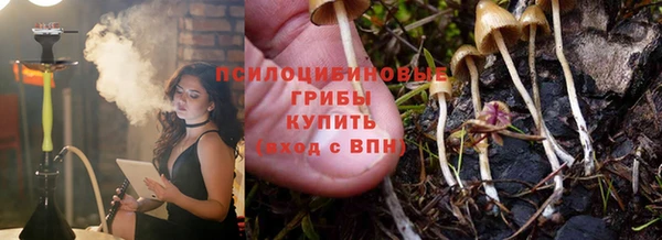 ПСИЛОЦИБИНОВЫЕ ГРИБЫ Магадан