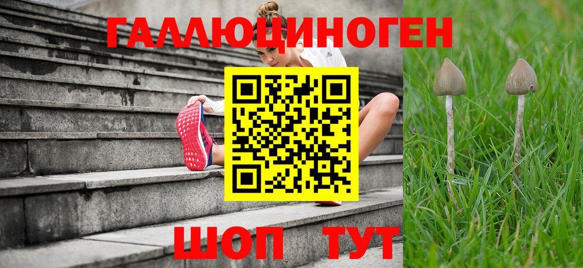 Галлюциногенные грибы ЛСД Юрга