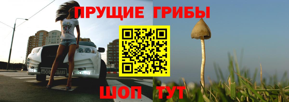 Псилоцибиновые грибы ЛСД  Вход с VPN  Юрга 